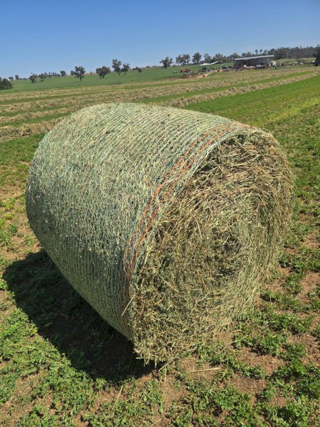 Lucerne Hay 4x4 Rolls x 160 (New Season)