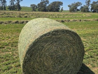 Lucerne Hay 4x4 Rolls x 160 (New Season)