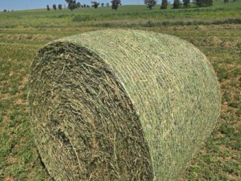 Lucerne Hay 4x4 Rolls x 160 (New Season)