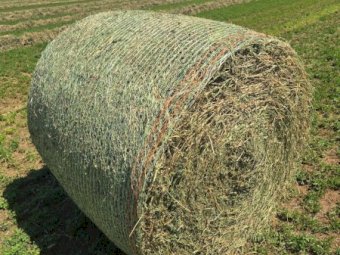 Lucerne Hay 4x4 Rolls x 160 (New Season)