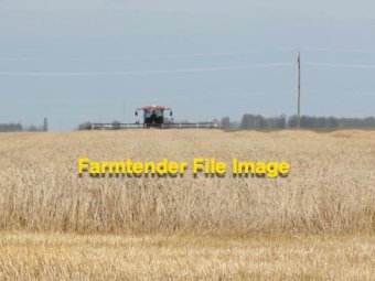 EOI Windrowed Wheaten Straw 8x4x4 Bales