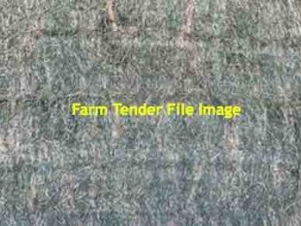 55 m/t of 3rd Cut Lucerne