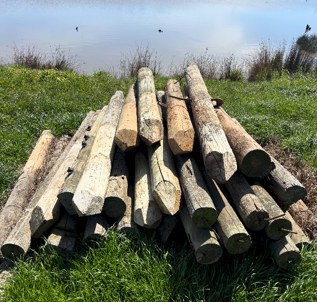 Treated Pine Strainers and Panel Posts x 30
