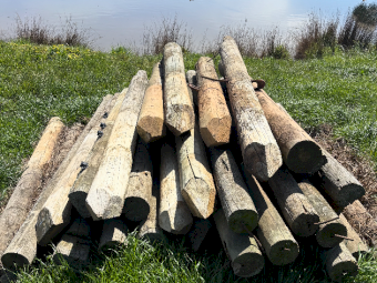 Treated Pine Strainers and Panel Posts x 30