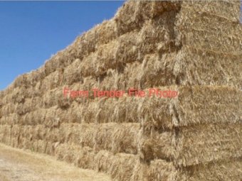 70mt Barley Hay 600kg 8x4x3 Bales (New Season)