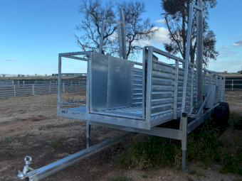 RiverCity Portable Sheep Ramp