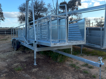 RiverCity Portable Sheep Ramp