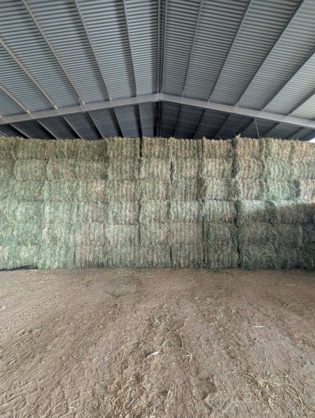 500mt Oaten Hay 550kg 8x4x3 Bales (New Season)