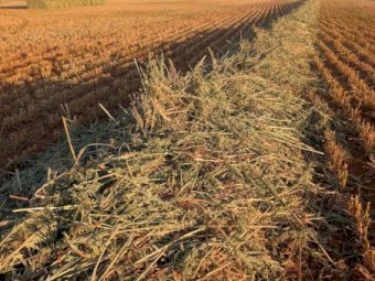 500mt Oaten Hay 550kg 8x4x3 Bales (New Season)