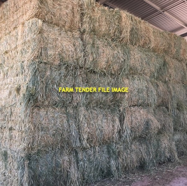 Oaten Rye Hay 8x4x3 Bales and Round Bales