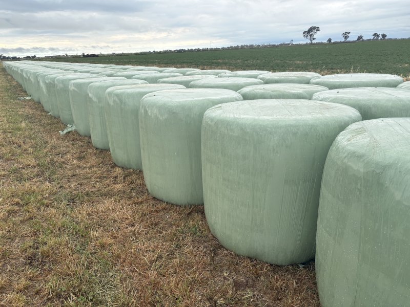 Lucerne Silage 4x4 Rolls x 350