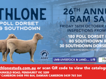 Athlone Poll Dorset and Southdown 26th Annual Ram Sale