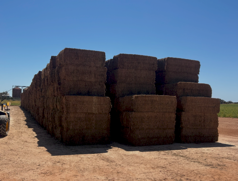 500mt Vetch Hay 700kg 8x4x3 Bales (New Season