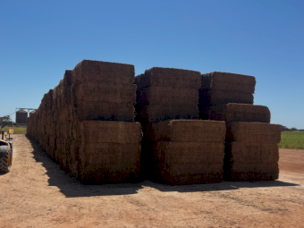 500mt Vetch Hay 700kg 8x4x3 Bales (New Season