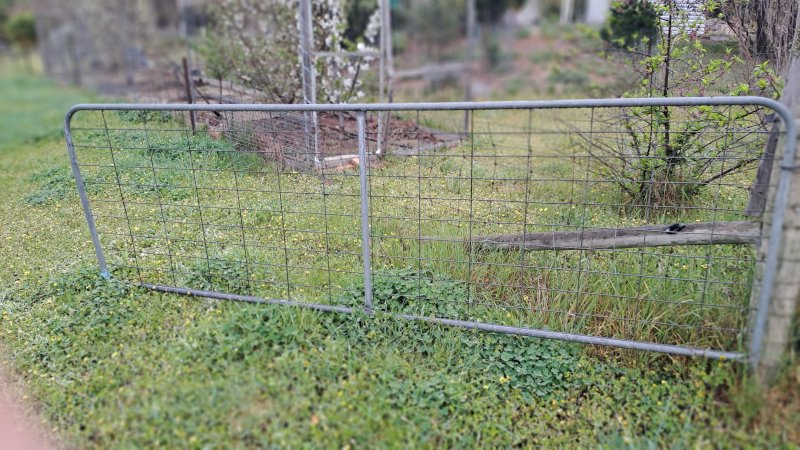 12Ft Farm Gate - NO GST