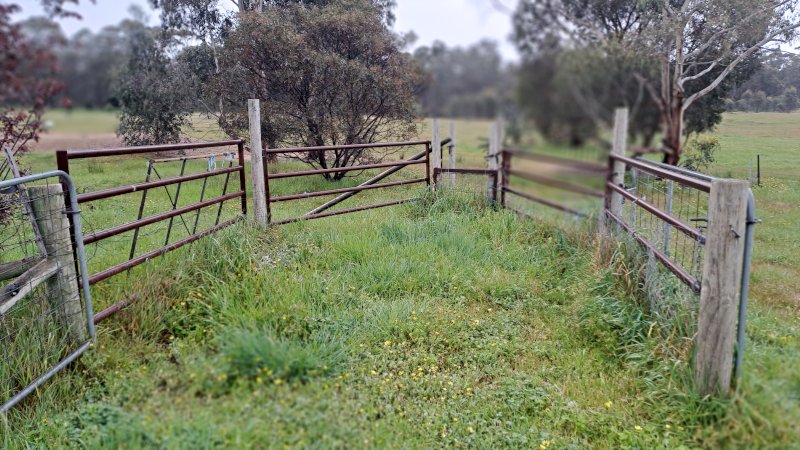 6 X Cattle/Sheep Panels - NO GST