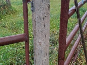 6 X Cattle/Sheep Panels - NO GST