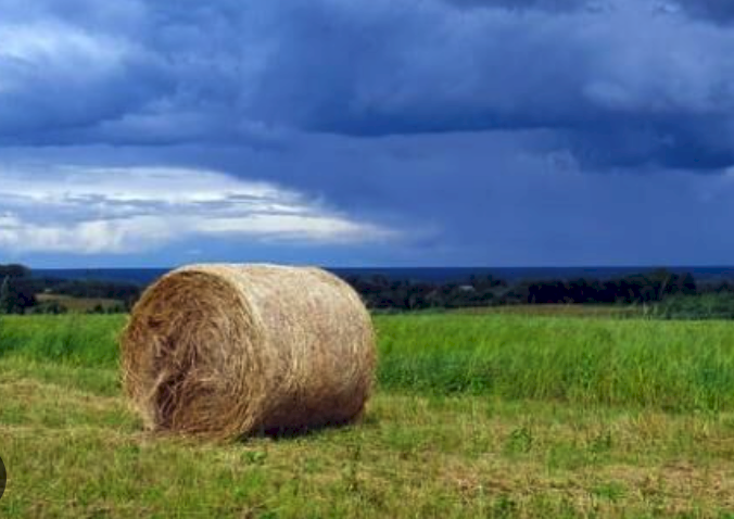 Hay Booster - 12-5-24-5 - Ex Geelong