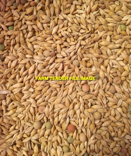 20-25mt Barley Lentils and Wheat Mix Screenings