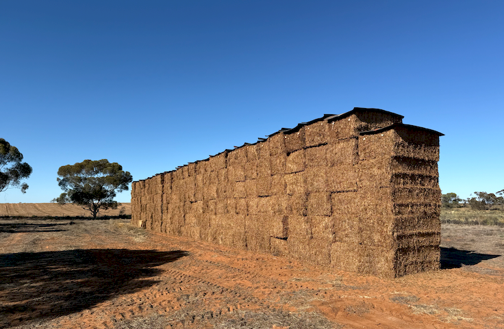 250mt Vetch Hay 700kg 8x4x3 Bales (New Season)