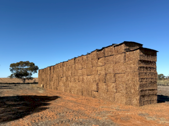 250mt Vetch Hay 700kg 8x4x3 Bales (New Season)