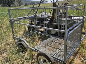 Safety Zone 395 Calf Catcher