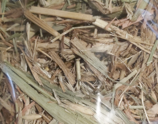 430mt Oaten Hay 630kg 8x4x3 Bales