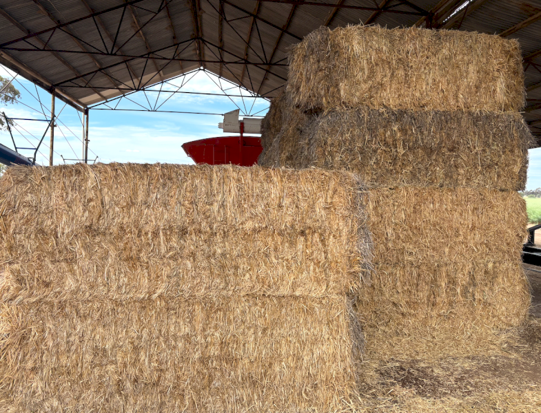 18mt Wheaten Hay 630kg 8x4x3 Bales