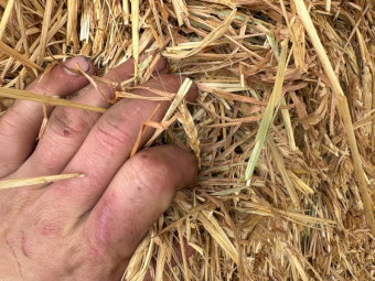 18mt Wheaten Hay 630kg 8x4x3 Bales