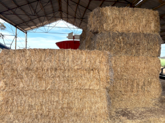 18mt Wheaten Hay 630kg 8x4x3 Bales