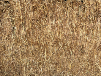 18mt Wheaten Hay 630kg 8x4x3 Bales