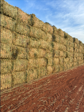 680mt Oaten Hay 680kg 8x4x3 Bales (New Season)