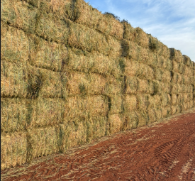 680mt Oaten Hay 680kg 8x4x3 Bales (New Season)