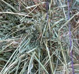 680mt Oaten Hay 680kg 8x4x3 Bales (New Season)
