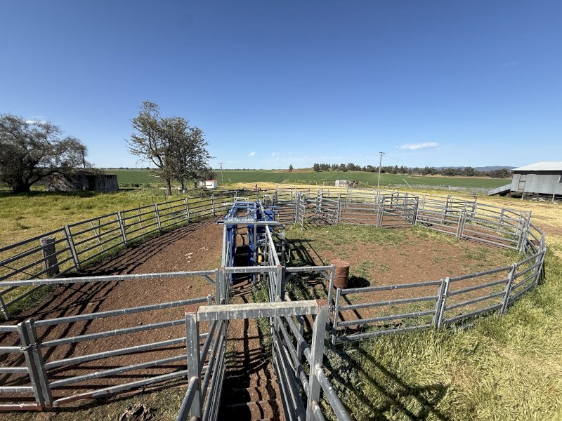 Portable Cattle Yards