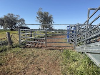 Portable Cattle Yards