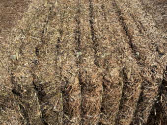 150mt Vetch Hay 650kg 8x4x3 Bales (New Season)