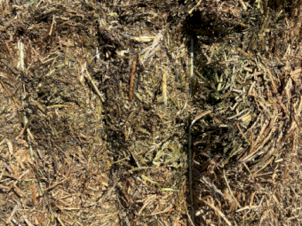 150mt Vetch Hay 650kg 8x4x3 Bales (New Season)