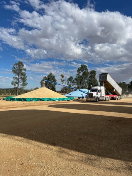 2 Grain Rings and Tarps