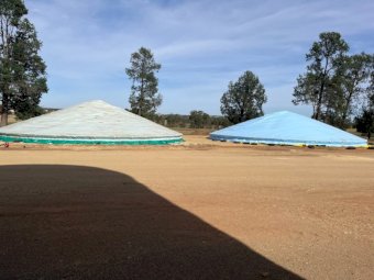 2 Grain Rings and Tarps