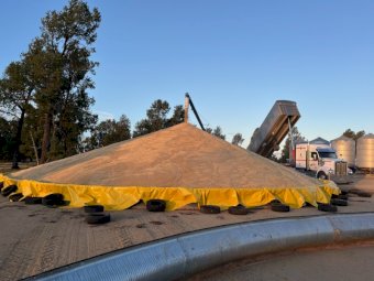 2 Grain Rings and Tarps