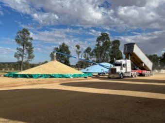 2 Grain Rings and Tarps