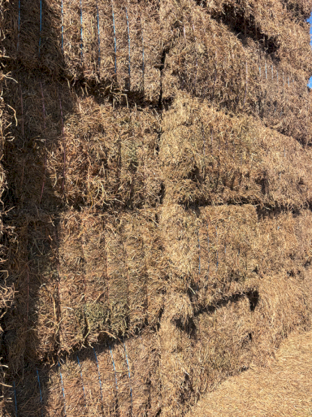 150mt Vetch Hay 8x4x3 Bales (New Seasons)