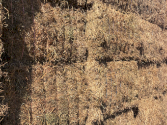 150mt Vetch Hay 8x4x3 Bales (New Seasons)