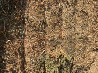 150mt Vetch Hay 8x4x3 Bales (New Seasons)