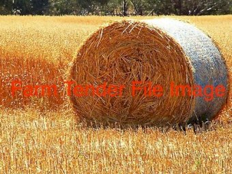 Oaten Hay in Round Rolls