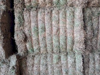 New Season (26/27) Vetch Hay 8x4x3 Bales