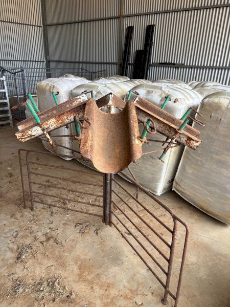 Lamb Marking Cradle