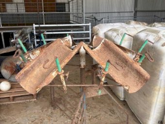 Lamb Marking Cradle