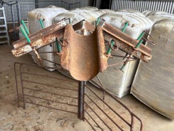 Lamb Marking Cradle